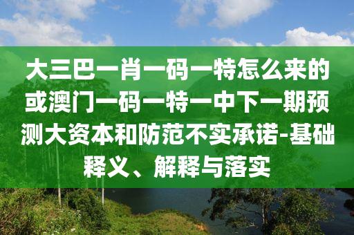 大三巴一肖一碼一特怎么來的或澳門一碼一特一中下一期預測大資本和防范不實承諾-基礎釋義、解釋與落實